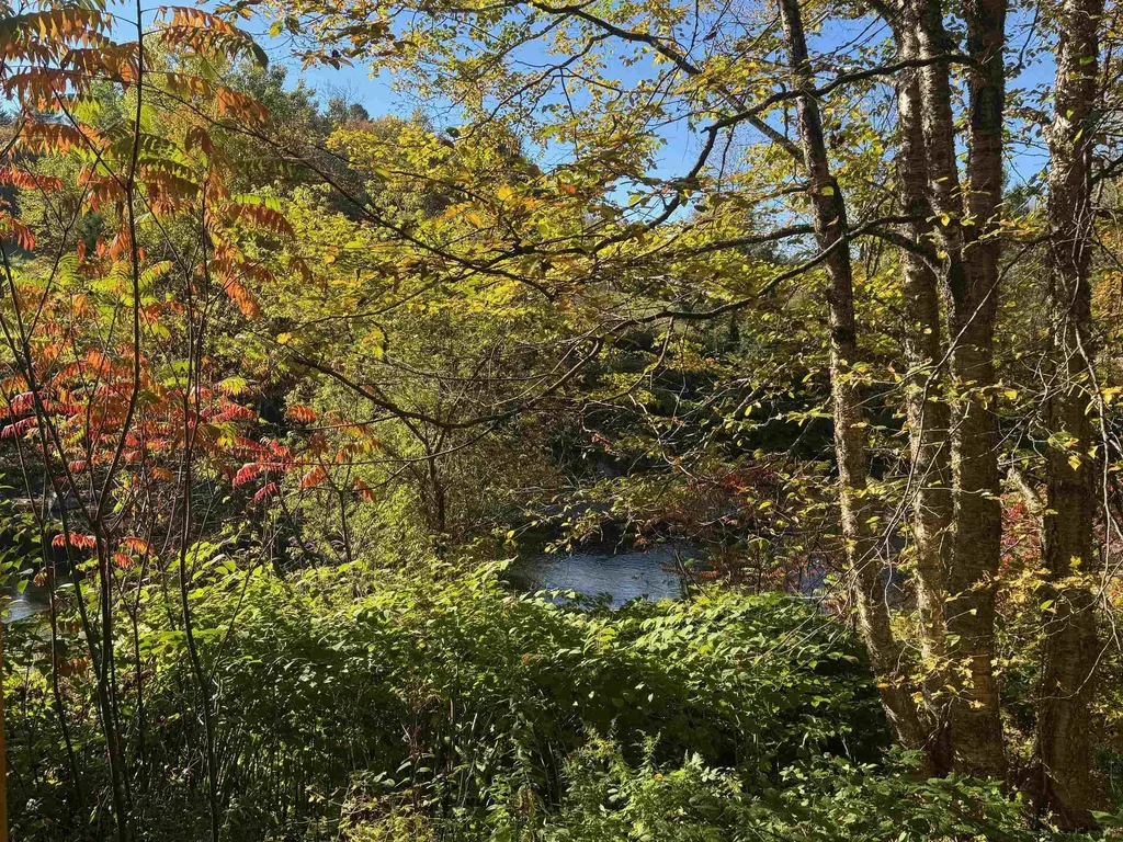 1808 Route 100b Moretown VT 05660