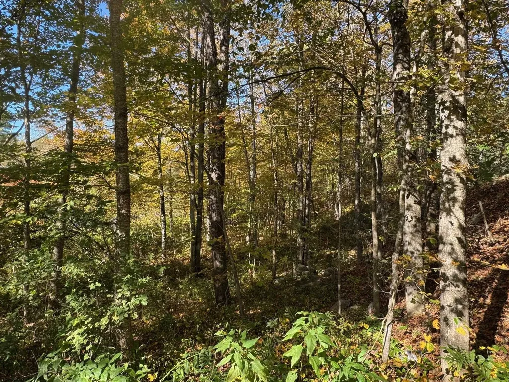 1808 Route 100b Moretown VT 05660