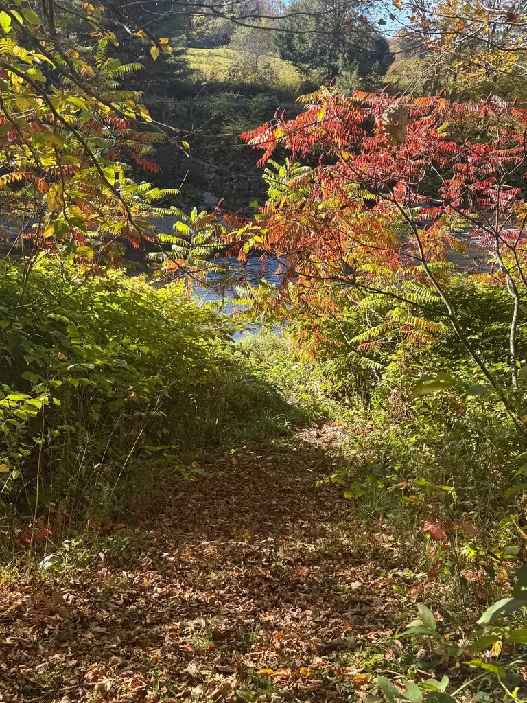 1808 Route 100b Moretown VT 05660