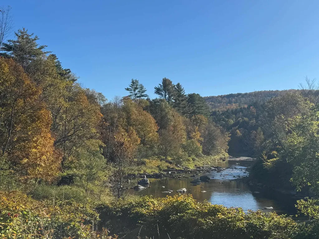 1808 Route 100b Moretown VT 05660