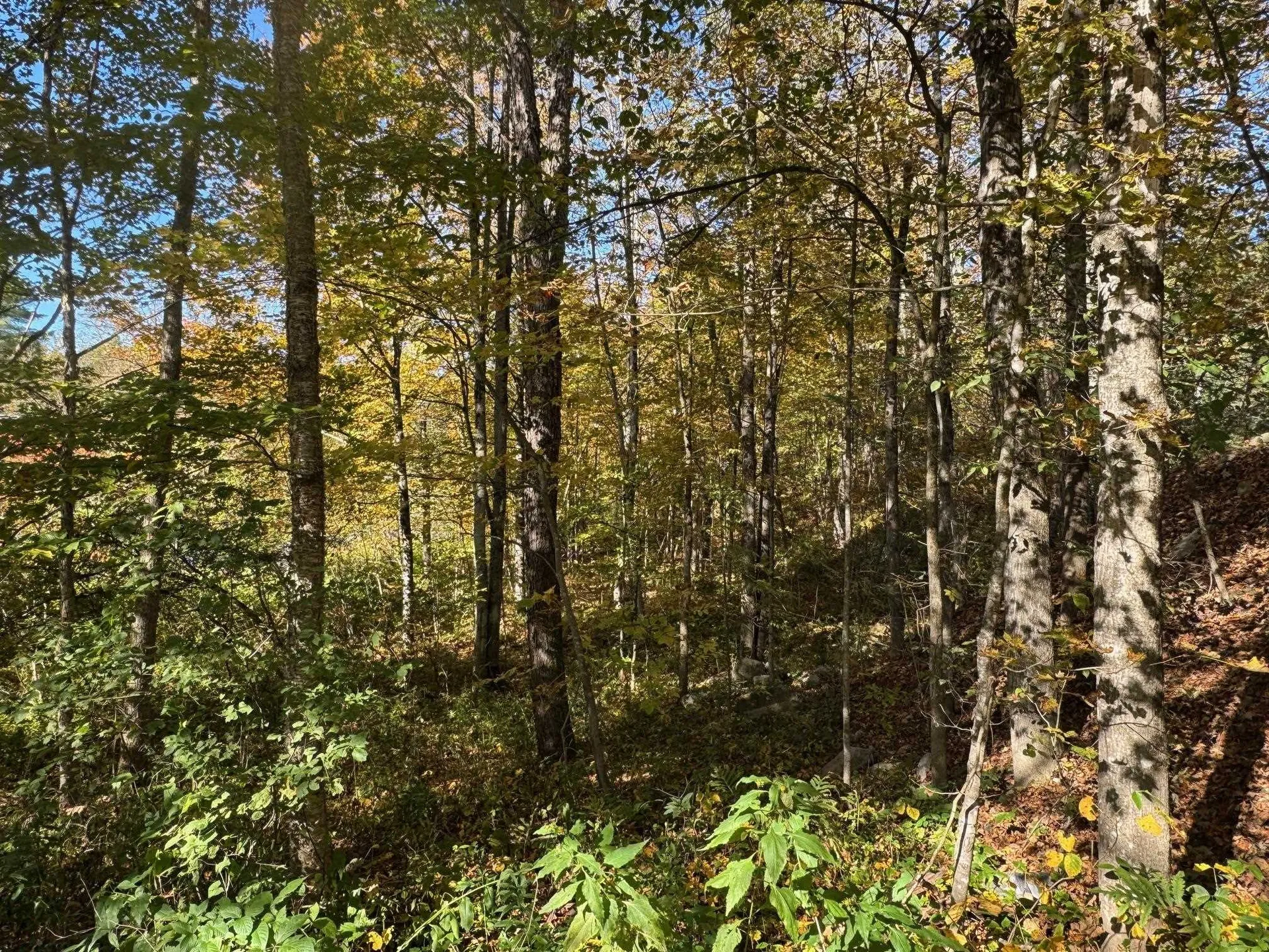 1808 Route 100b Moretown VT 05660