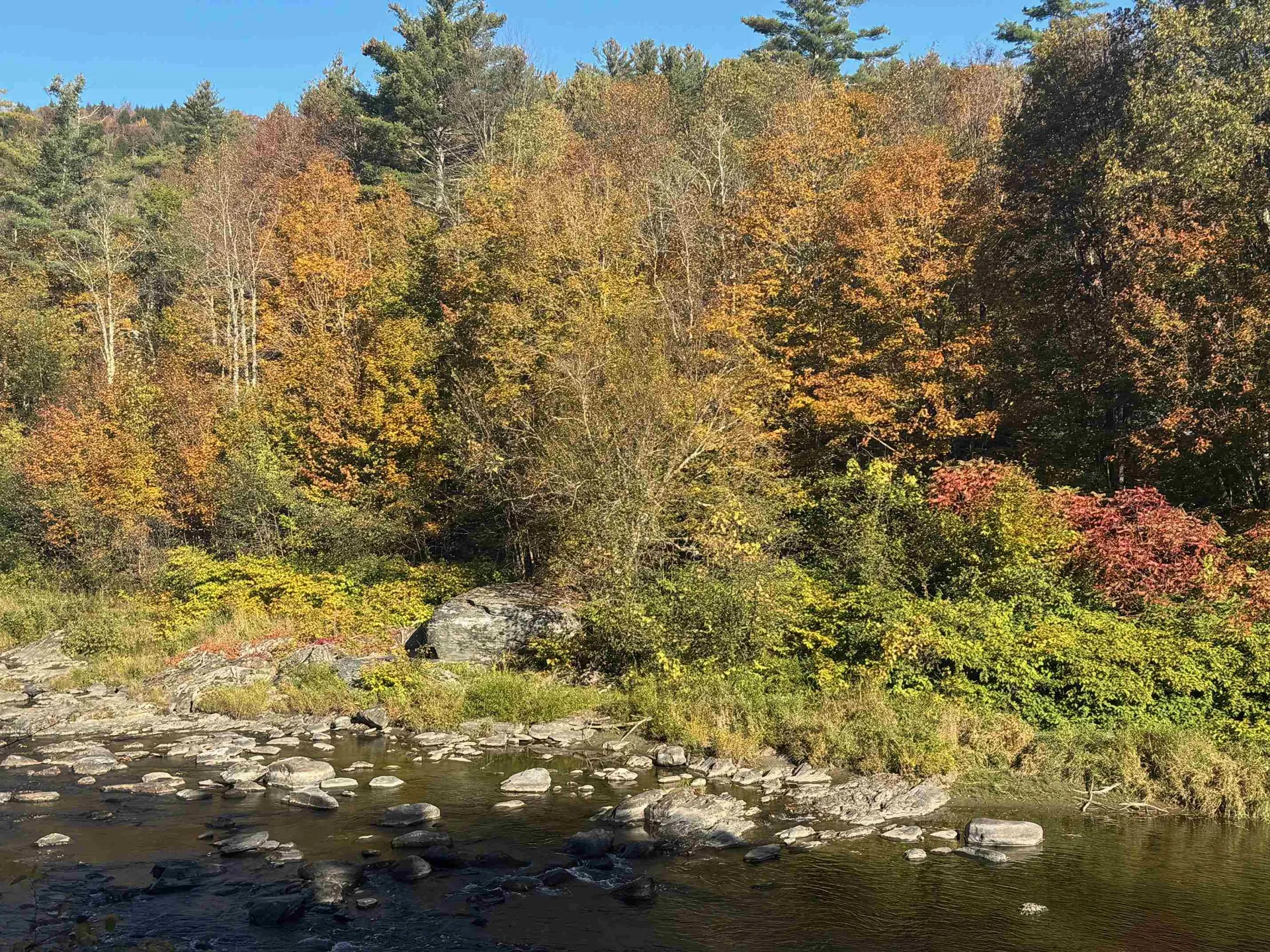 1808 Route 100b Moretown VT 05660