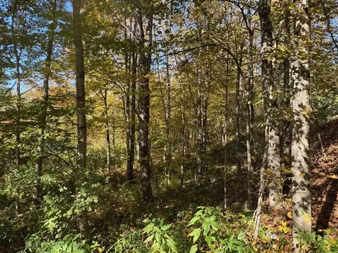 1808 Route 100b Moretown VT 05660