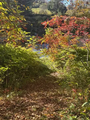 1808 Route 100b Moretown VT 05660