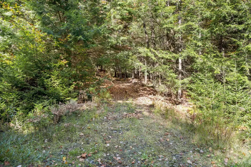 442 Vt Route 12 Middlesex VT 05602