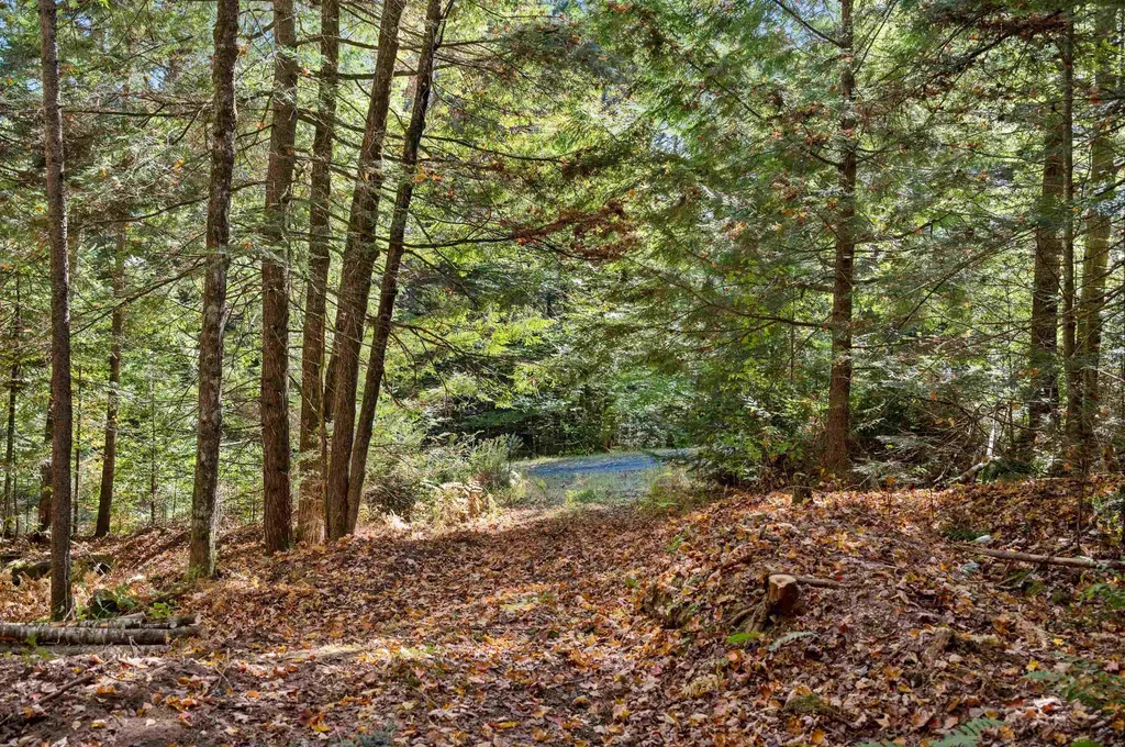 442 Vt Route 12 Middlesex VT 05602