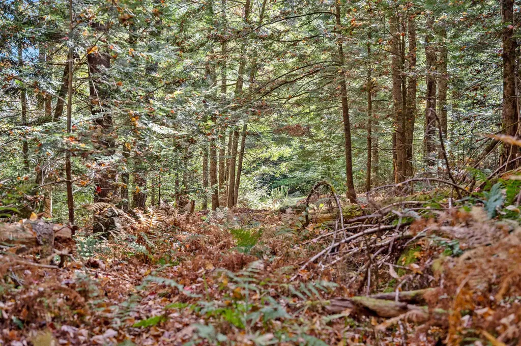 442 Vt Route 12 Middlesex VT 05602