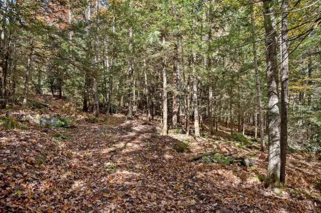 442 Vt Route 12 Middlesex VT 05602