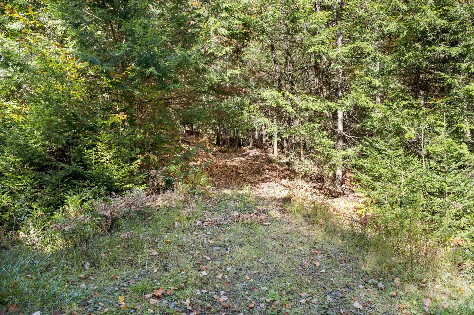 442 Vt Route 12 Middlesex VT 05602