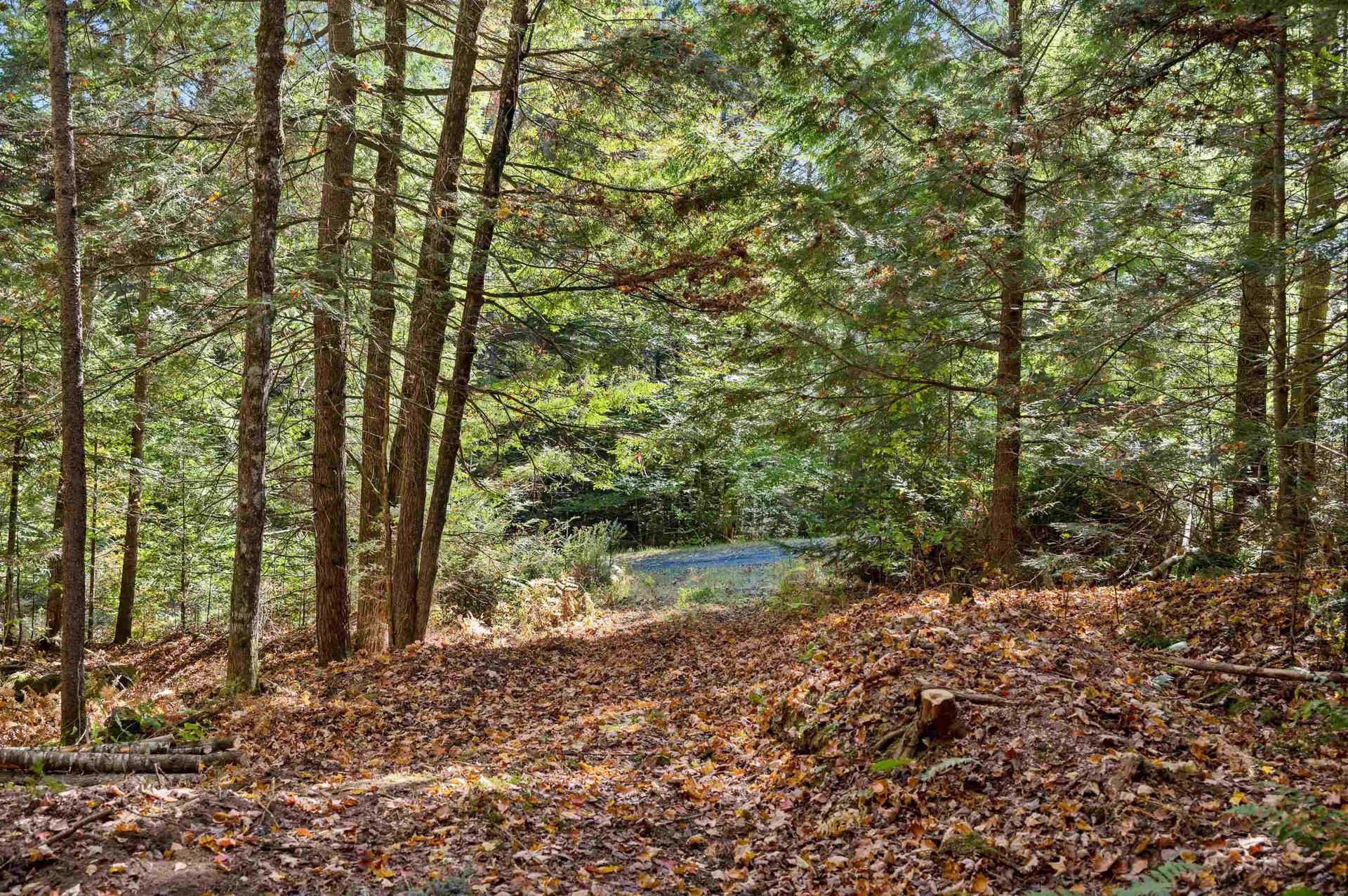 442 Vt Route 12 Middlesex VT 05602