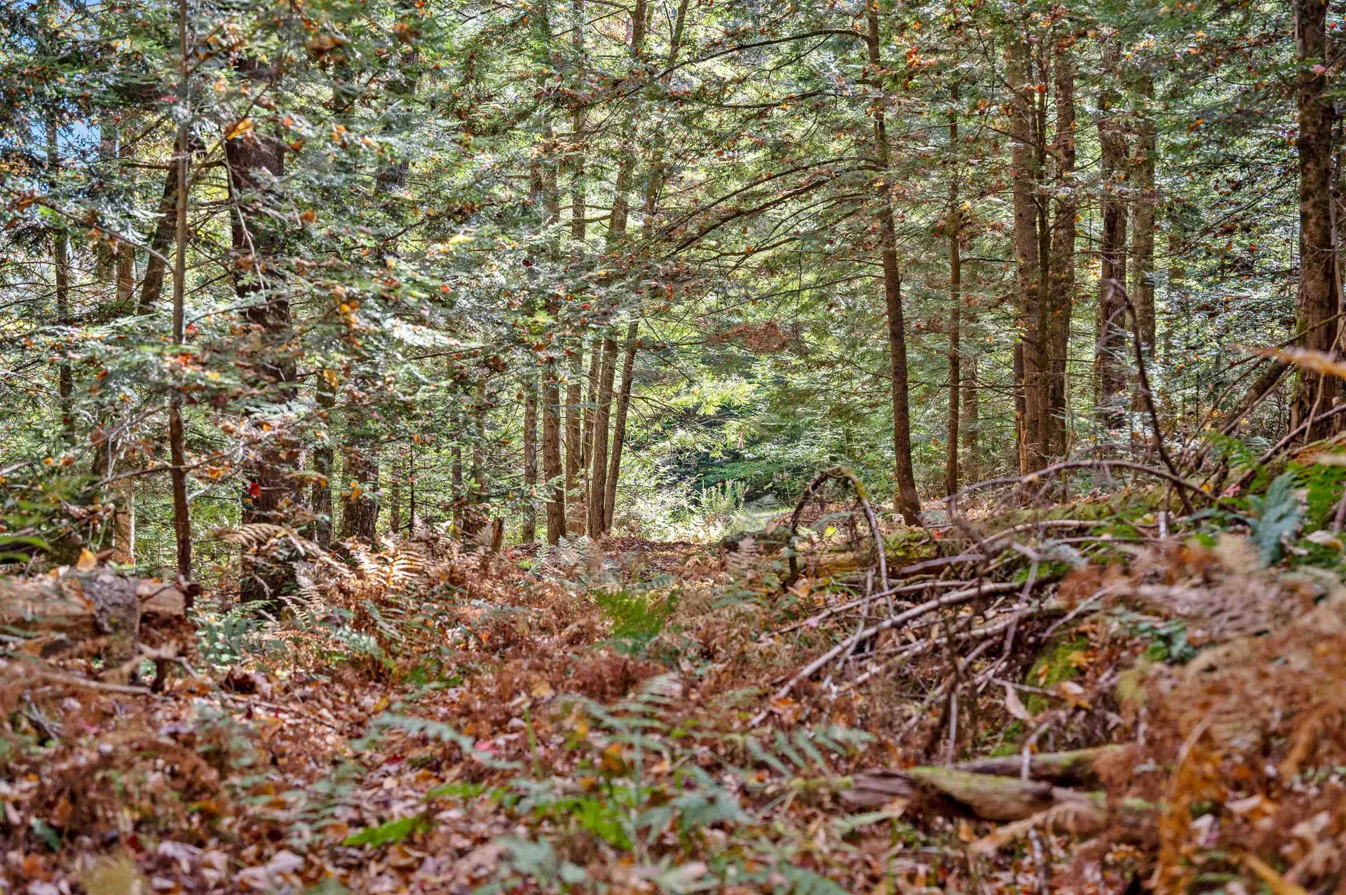 442 Vt Route 12 Middlesex VT 05602