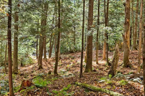 442 Vt Route 12 Middlesex VT 05602