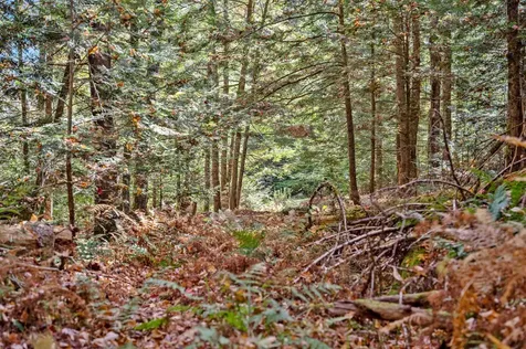 442 Vt Route 12 Middlesex VT 05602