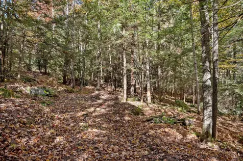 442 Vt Route 12 Middlesex VT 05602