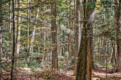 442 Vt Route 12 Middlesex VT 05602