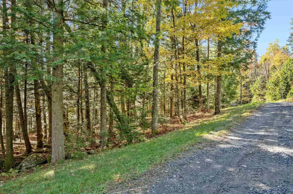 442 Vt Route 12 Middlesex VT 05602