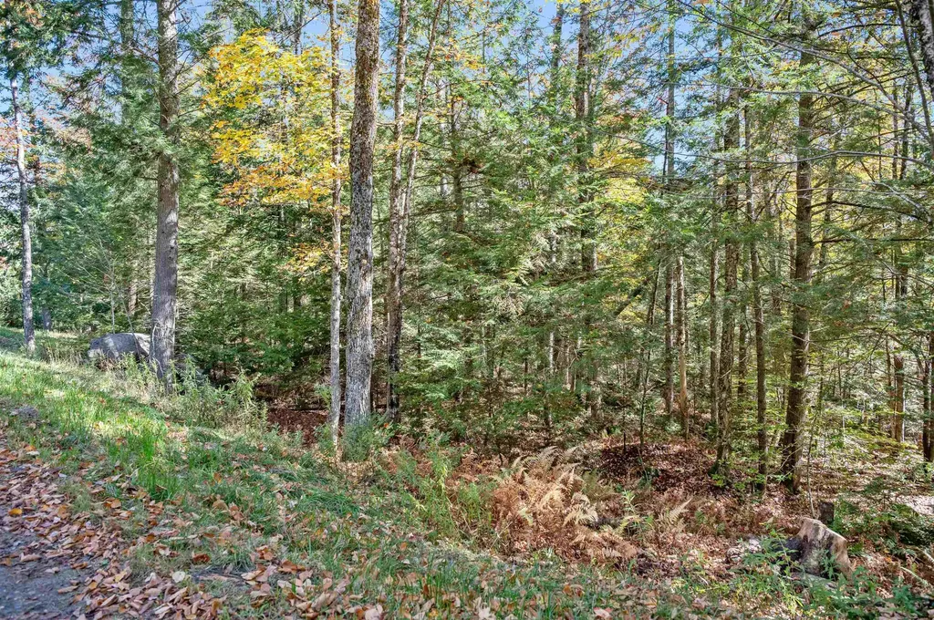 442 Vt Route 12 Middlesex VT 05602