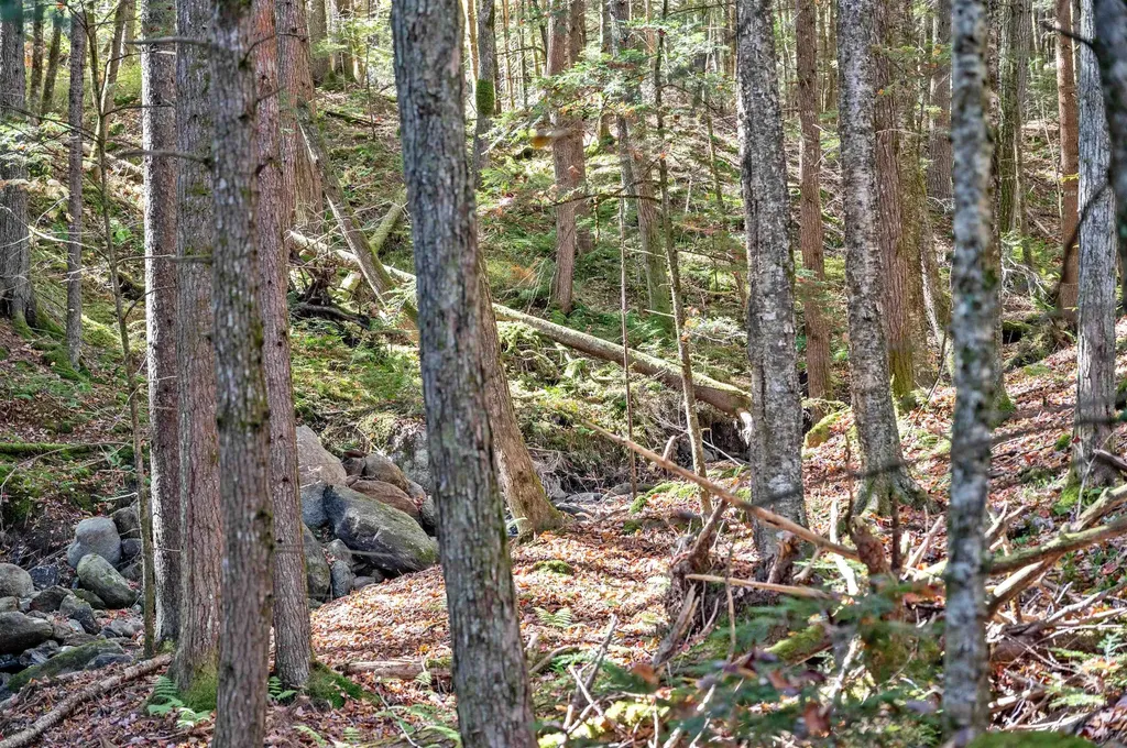 442 Vt Route 12 Middlesex VT 05602