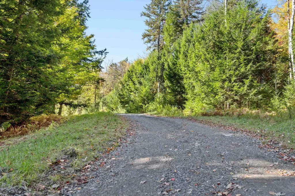 442 Vt Route 12 Middlesex VT 05602