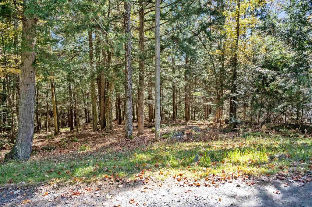 442 Vt Route 12 Middlesex VT 05602