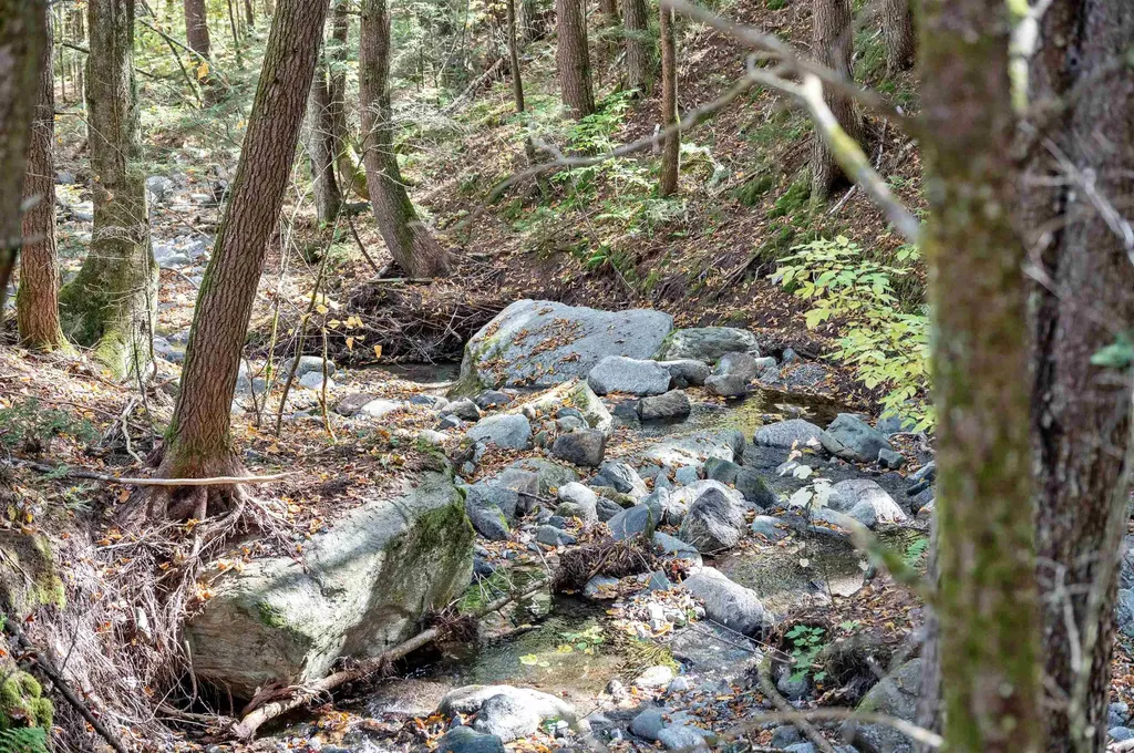 442 Vt Route 12 Middlesex VT 05602