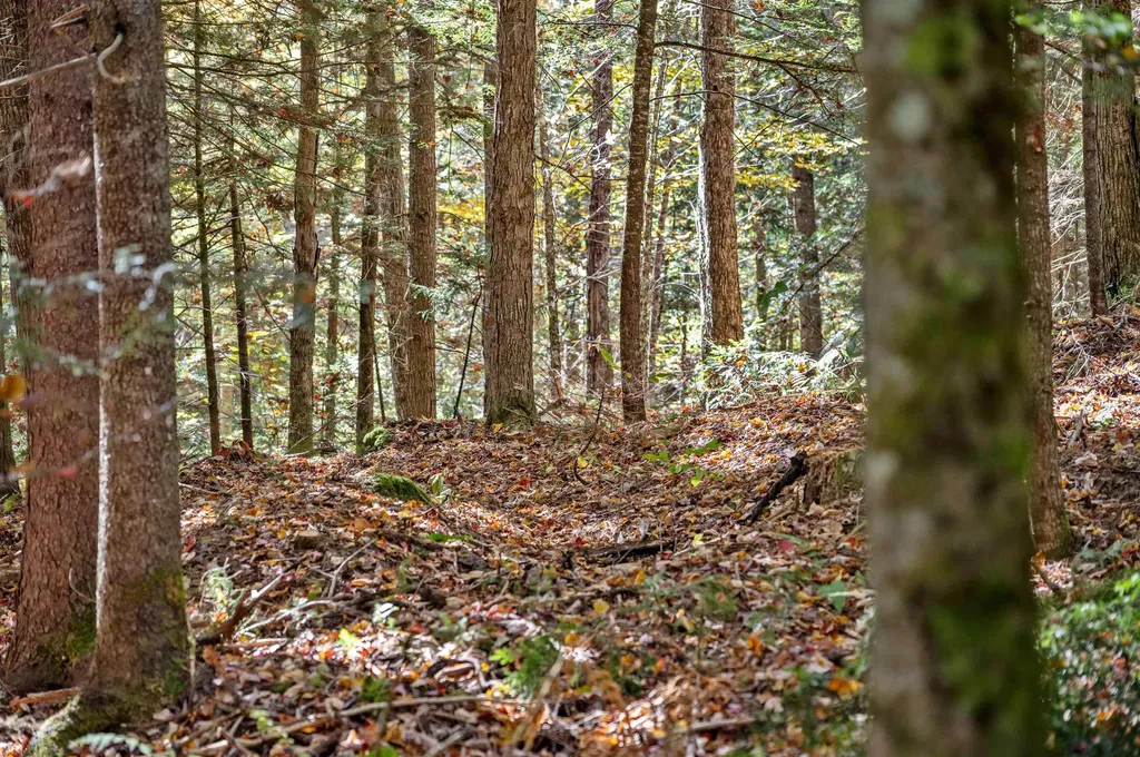 442 Vt Route 12 Middlesex VT 05602