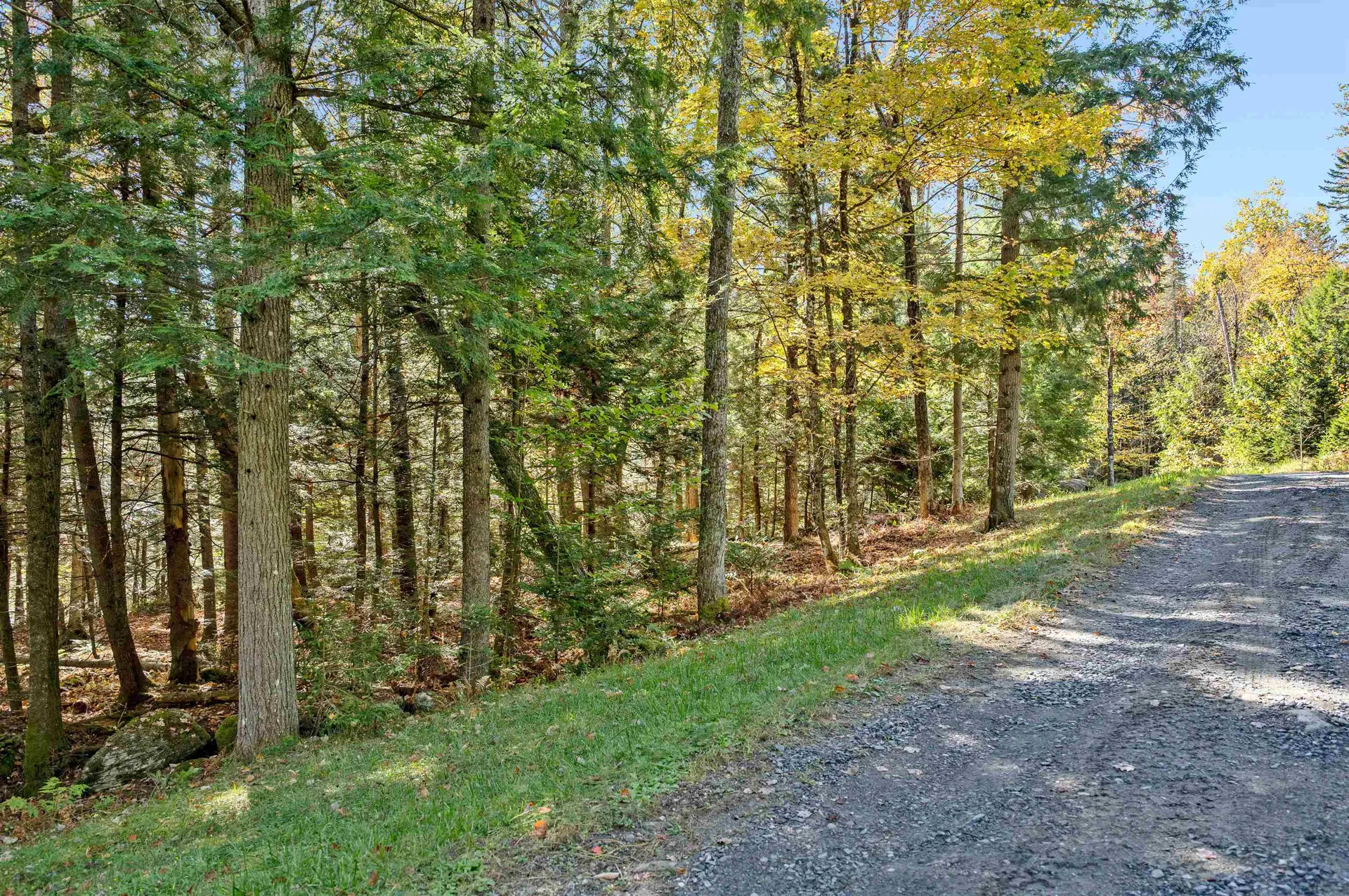 442 Vt Route 12 Middlesex VT 05602