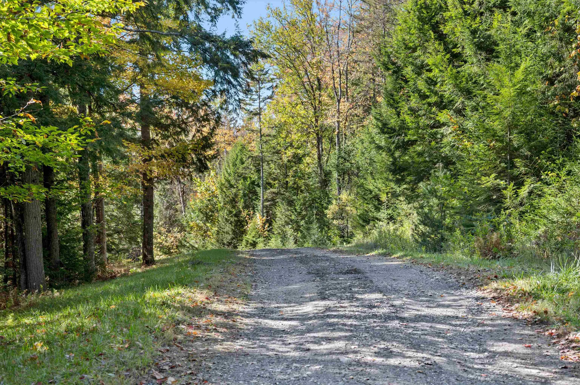 442 Vt Route 12 Middlesex VT 05602