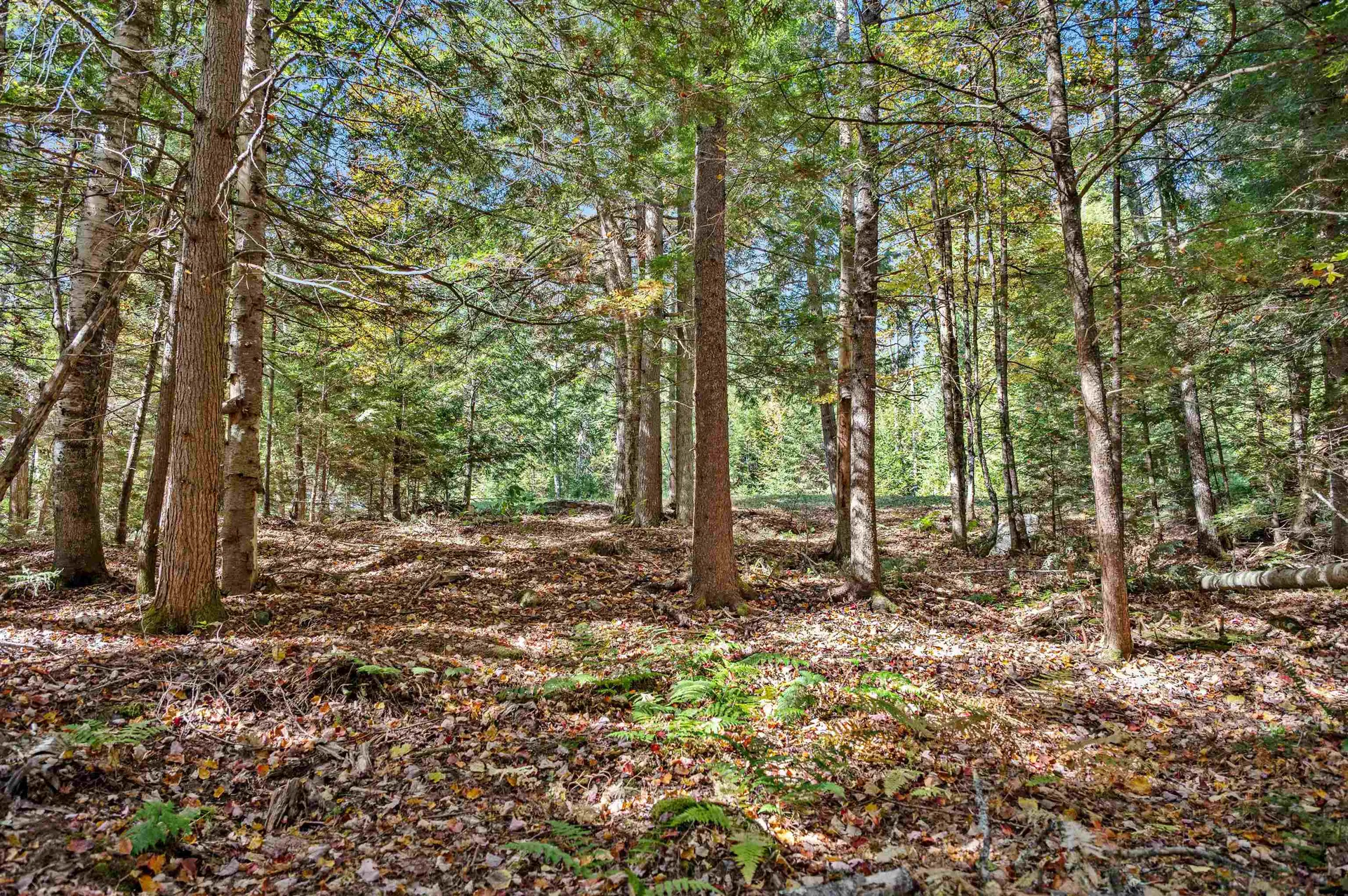 442 Vt Route 12 Middlesex VT 05602