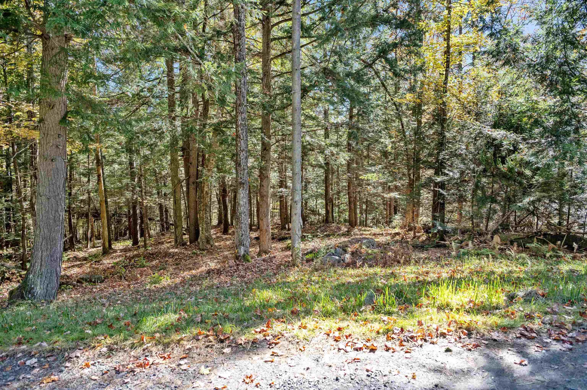 442 Vt Route 12 Middlesex VT 05602