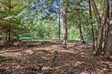 442 Vt Route 12 Middlesex VT 05602