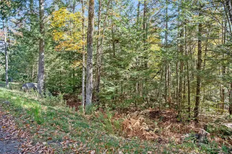 442 Vt Route 12 Middlesex VT 05602