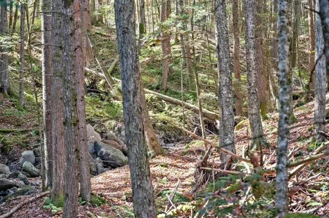 442 Vt Route 12 Middlesex VT 05602