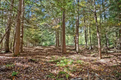 442 Vt Route 12 Middlesex VT 05602