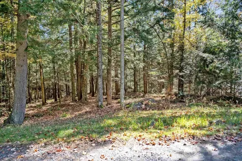 442 Vt Route 12 Middlesex VT 05602