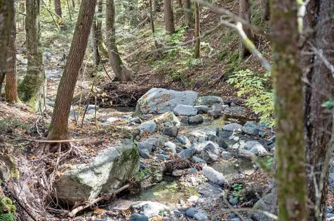 442 Vt Route 12 Middlesex VT 05602