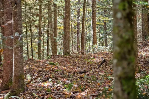 442 Vt Route 12 Middlesex VT 05602