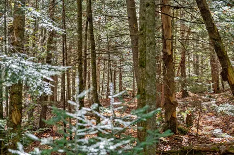 442 Vt Route 12 Middlesex VT 05602