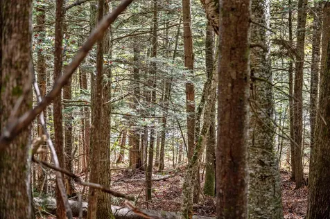 442 Vt Route 12 Middlesex VT 05602