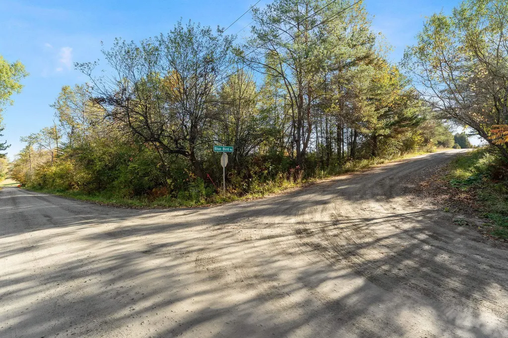 Lot 2 Blue Bird Road Williamstown VT 05679