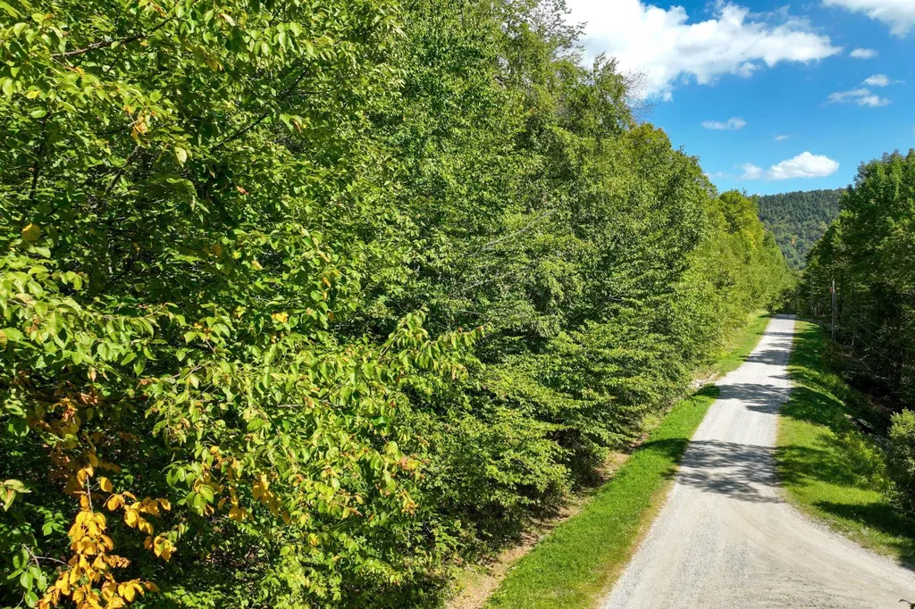 3-57 Snowy Owl Lane Plymouth VT 05056