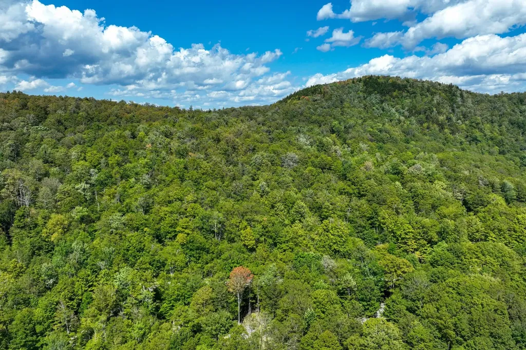 3-57 Snowy Owl Lane Plymouth VT 05056