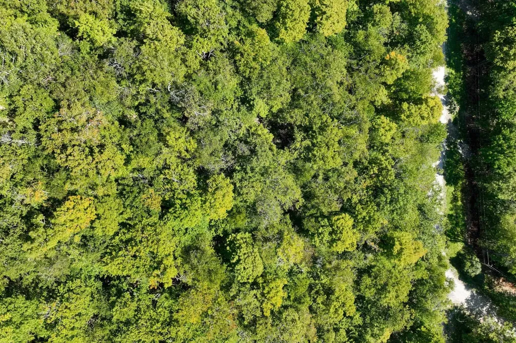 3-57 Snowy Owl Lane Plymouth VT 05056