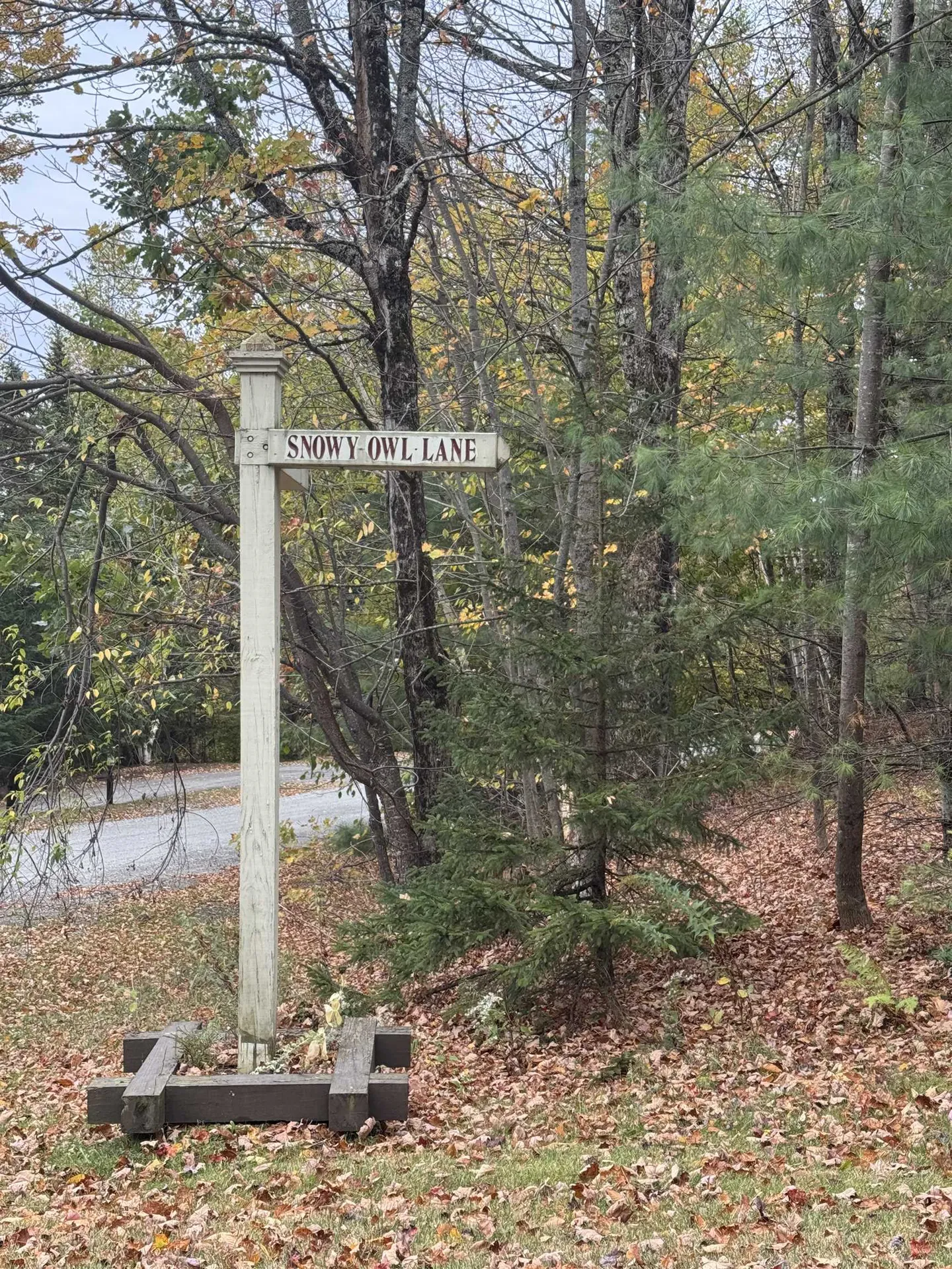 3-57 Snowy Owl Lane Plymouth VT 05056