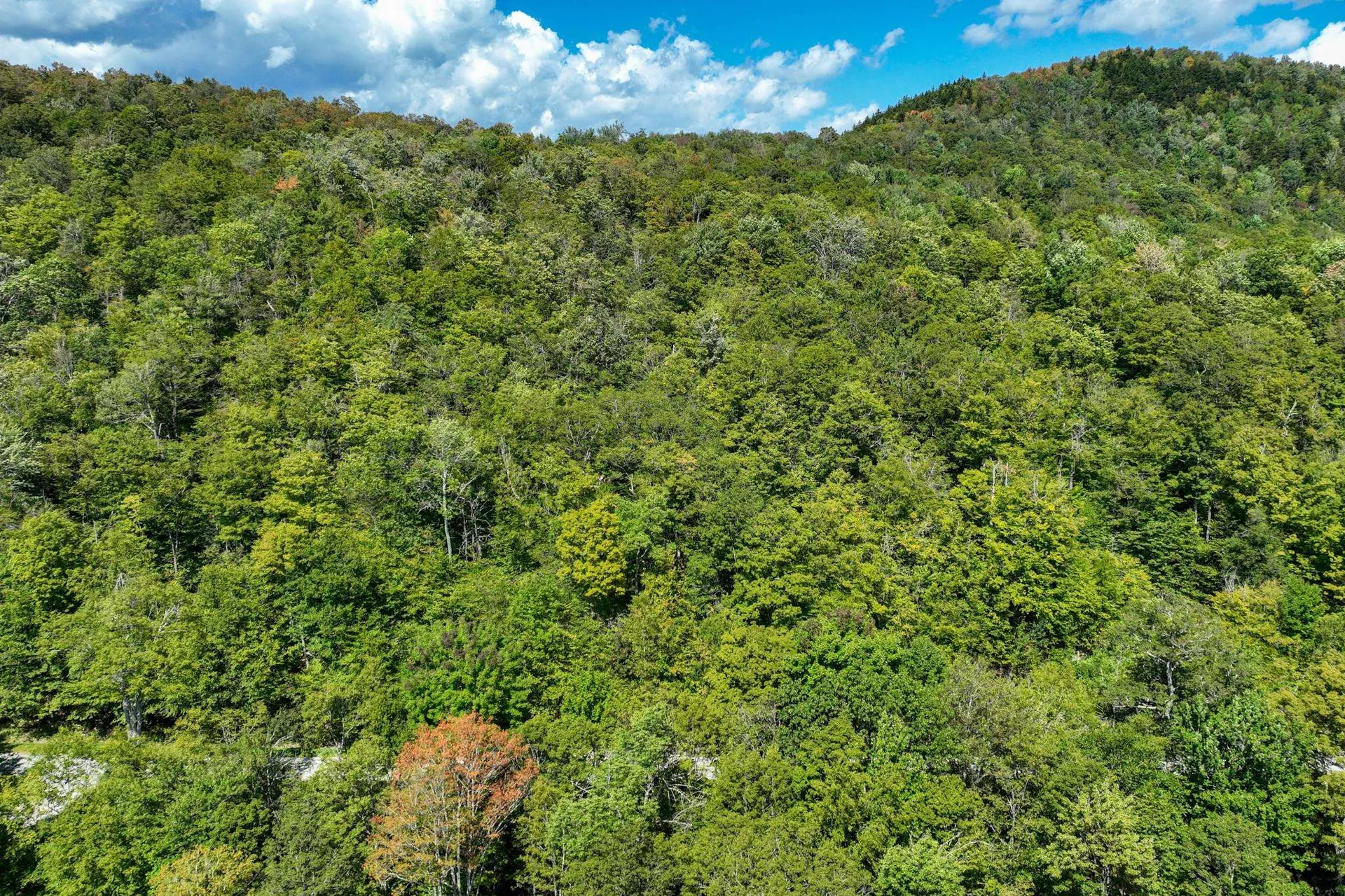 3-57 Snowy Owl Lane Plymouth VT 05056