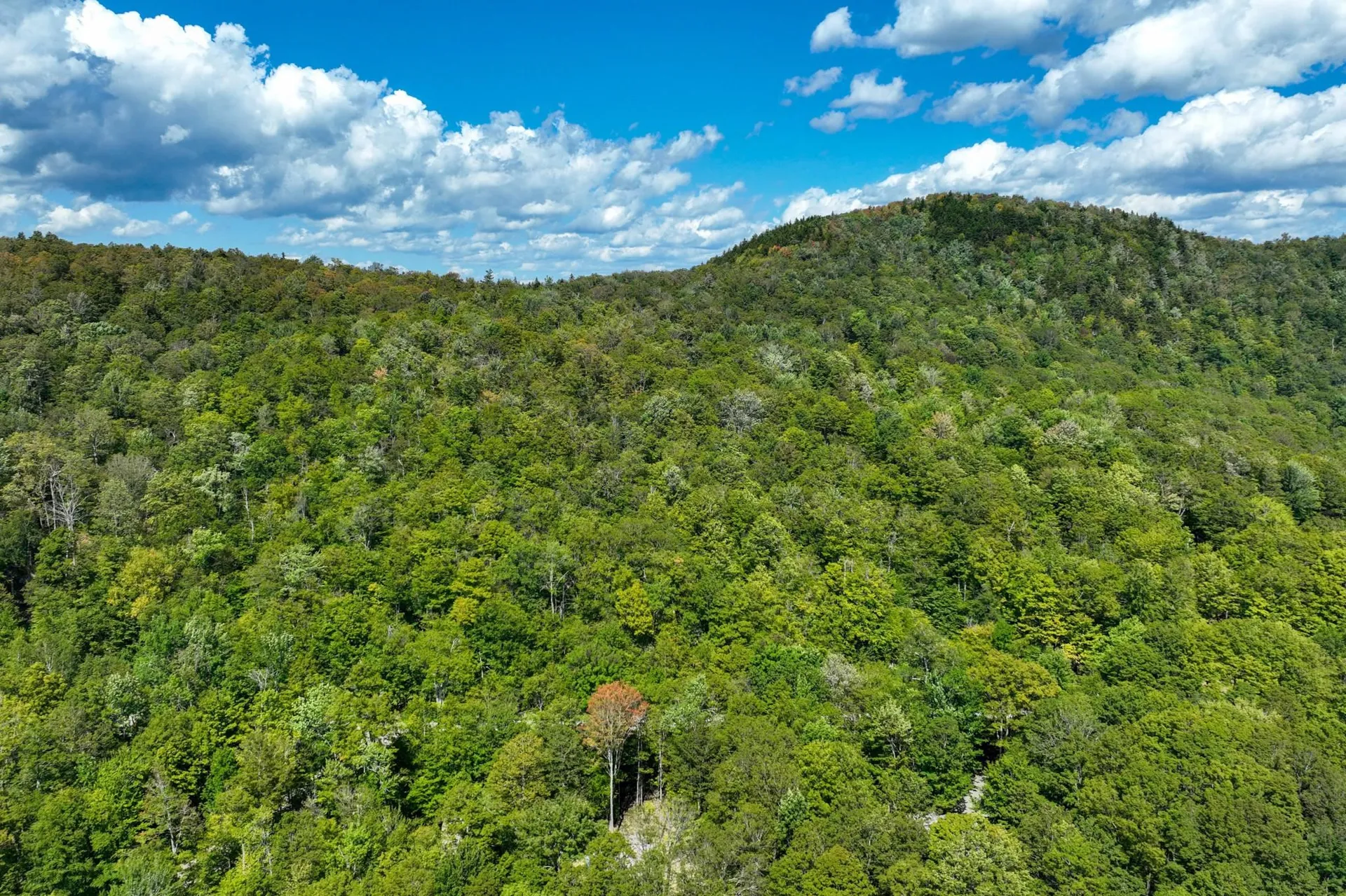 3-57 Snowy Owl Lane Plymouth VT 05056