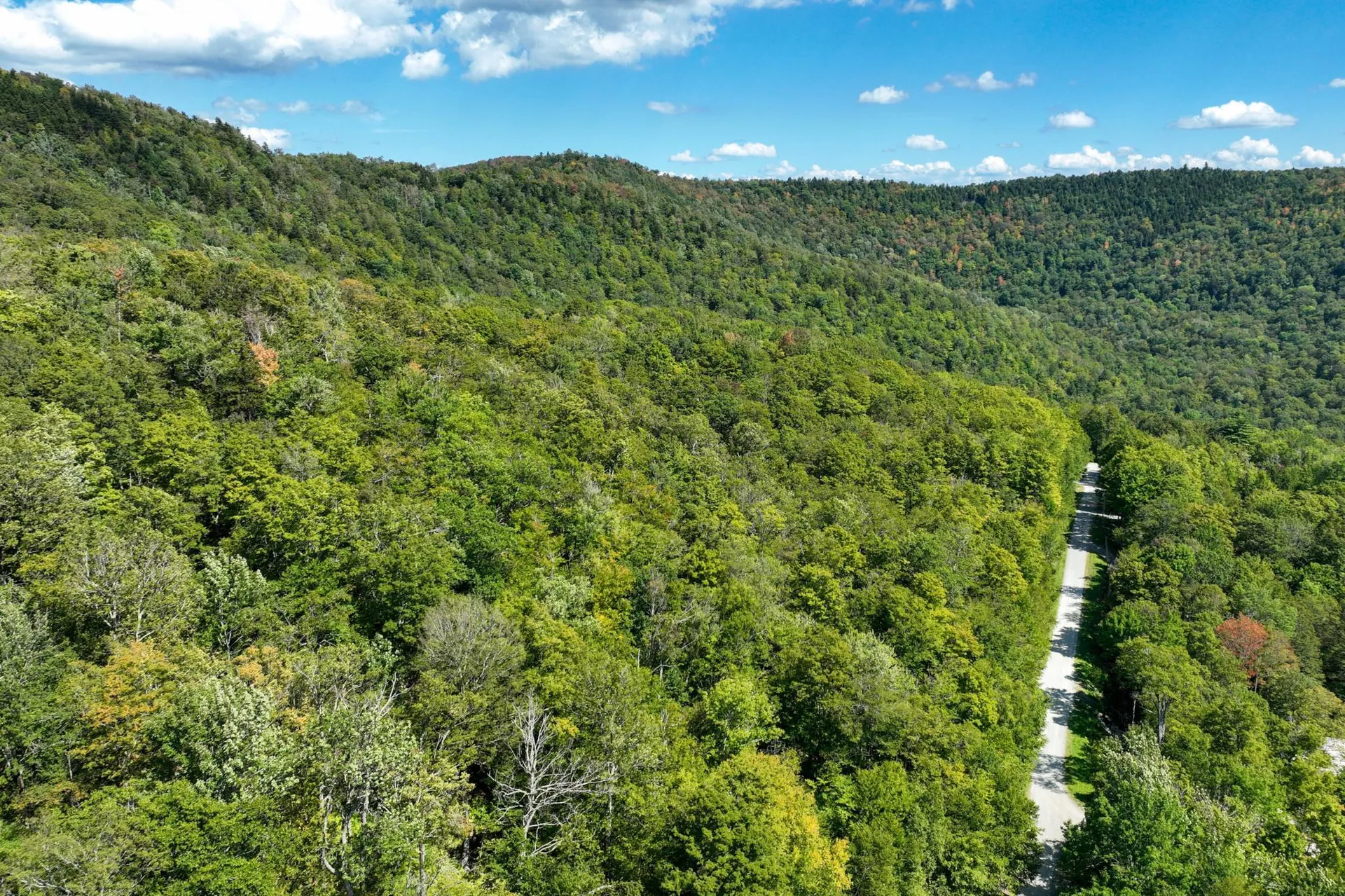 3-57 Snowy Owl Lane Plymouth VT 05056