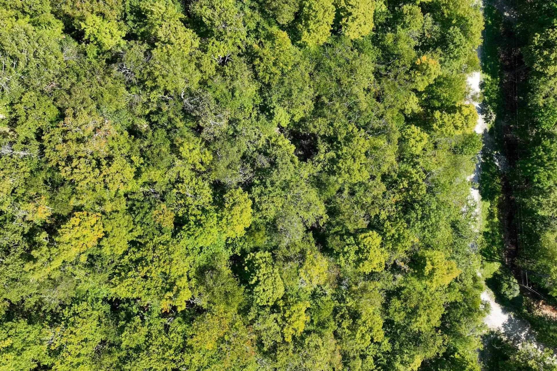 3-57 Snowy Owl Lane Plymouth VT 05056