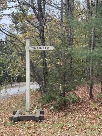 3-57 Snowy Owl Lane Plymouth VT 05056