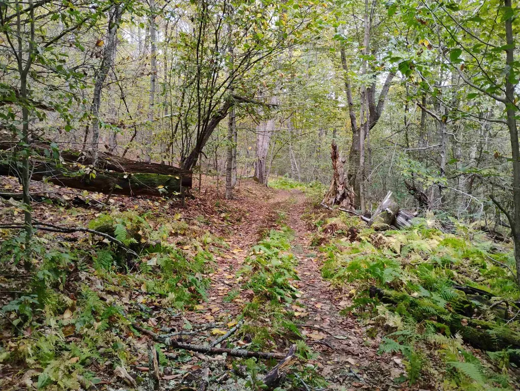 0 Taft Road Townshend VT 05353